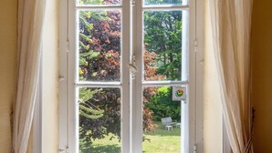 Una ventana con vistas a un jardín y una silla afuera.