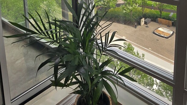 Ein Balkon mit einem Blumentopf, Blick auf hohe Gebäude und einen klaren Himmel.