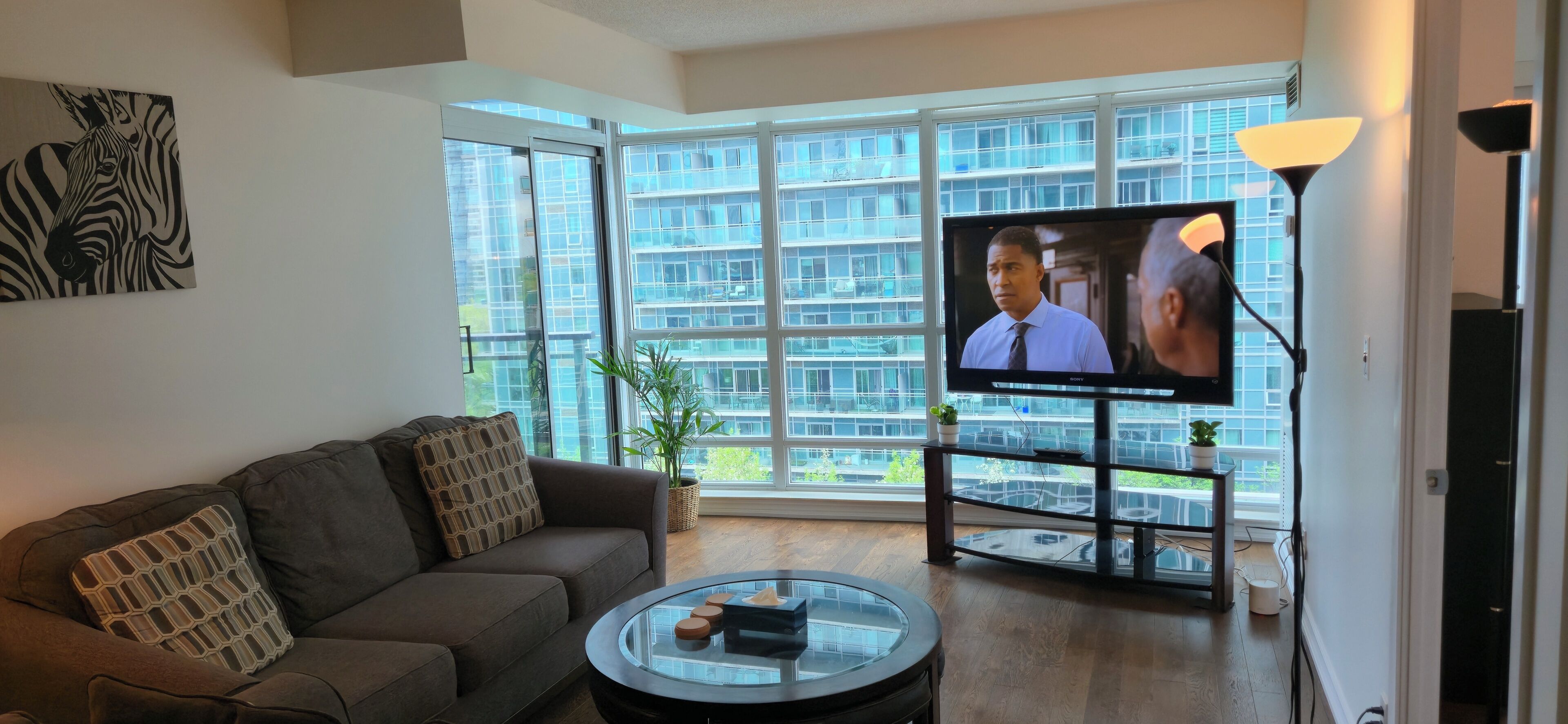 TV