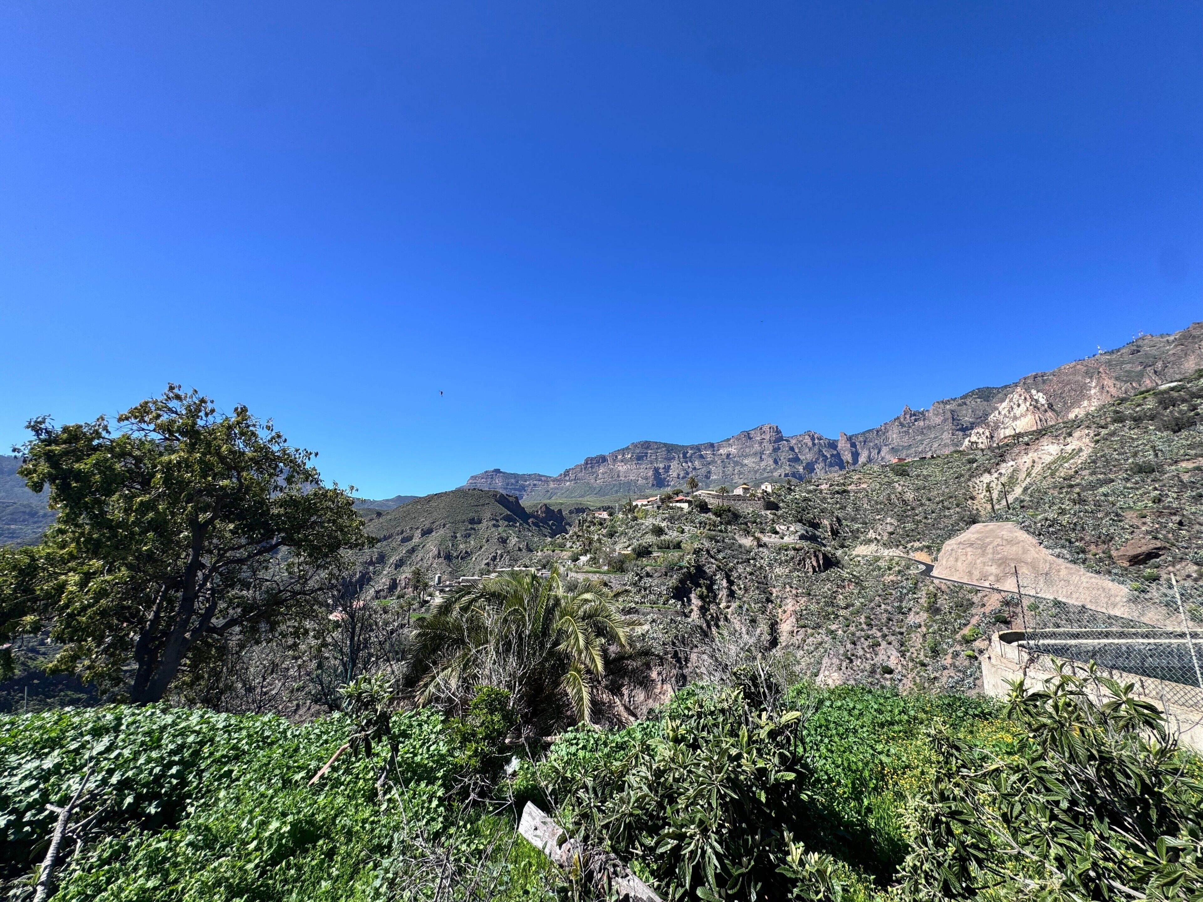 منوع