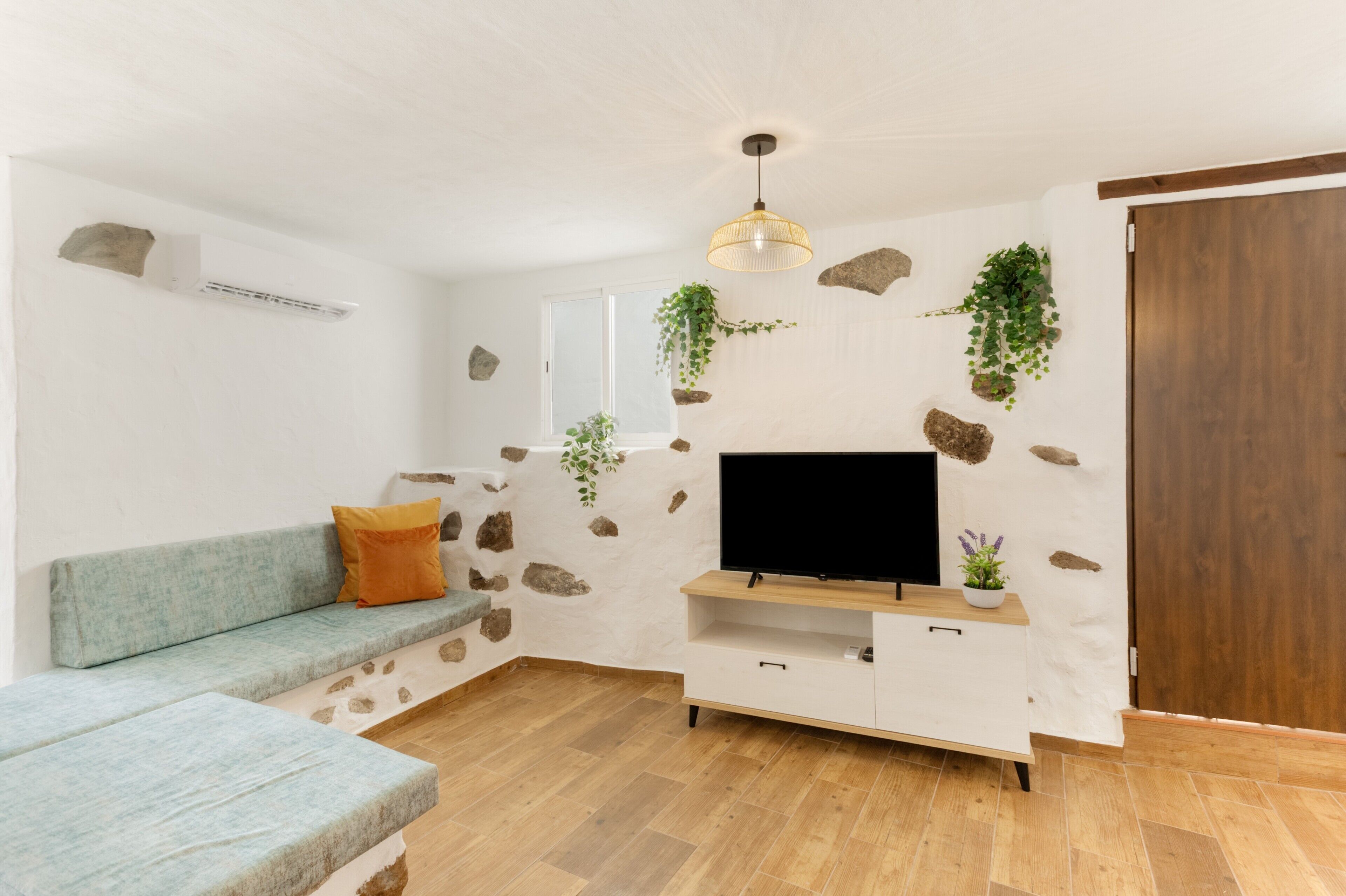 A modern living room with a flat-screen TV, a sofa, a coffee table, and decorative plants.