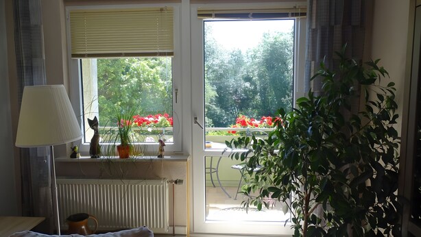 Een kamer met een radiator, een lamp, een potplant en uitzicht op een balkon met bloemen.