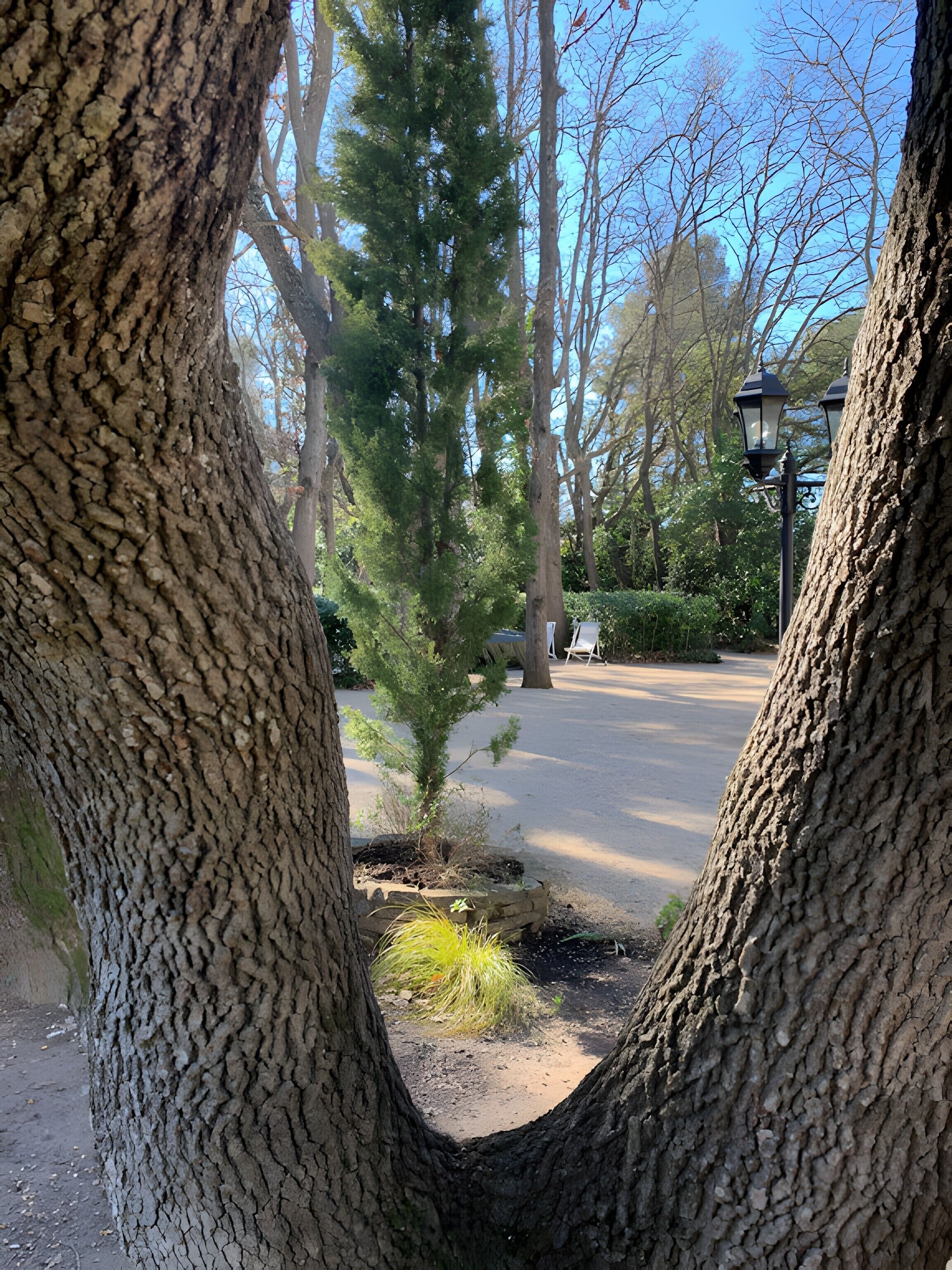 Área da propriedade