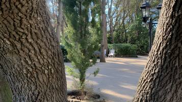 Área da propriedade