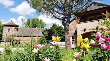 Terrain de l’hébergement