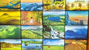 Een wand met meerdere landschapfoto's.