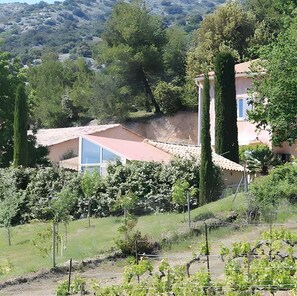 Property grounds - “Lavender Room” Guest Room with Shared Pool, Garden, and Wi-Fi (Bédoin)