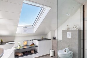 Shower, hair dryer, towels