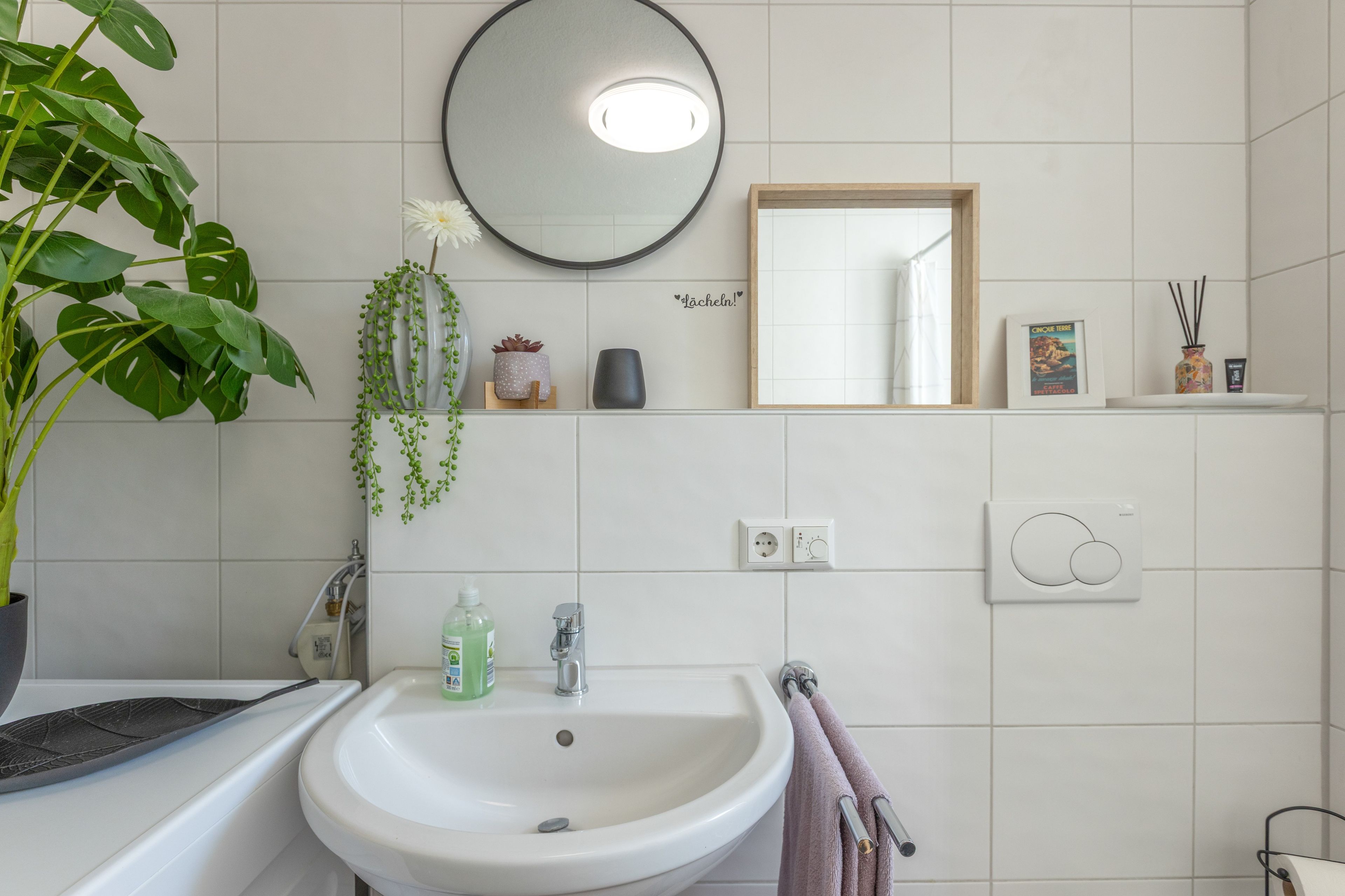 Une salle de bain avec un lavabo blanc, un miroir, une plante en pot et une étagère contenant des articles de toilette.