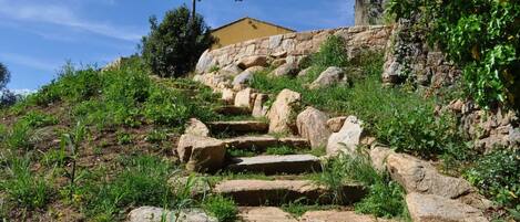 Jardines del alojamiento