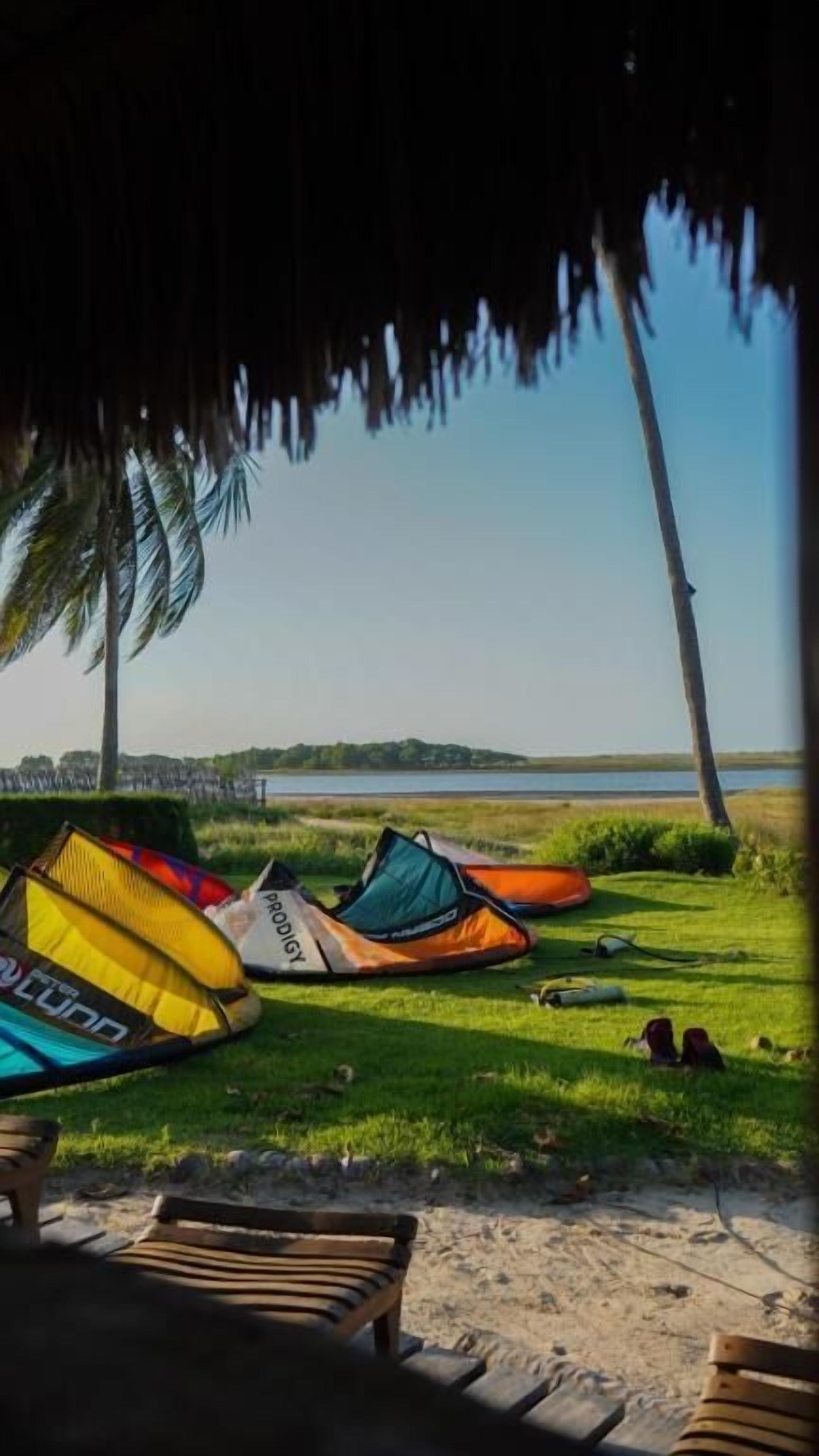 A beach scene with a thatched roof, palm trees, and colorful inflatable kayaks.