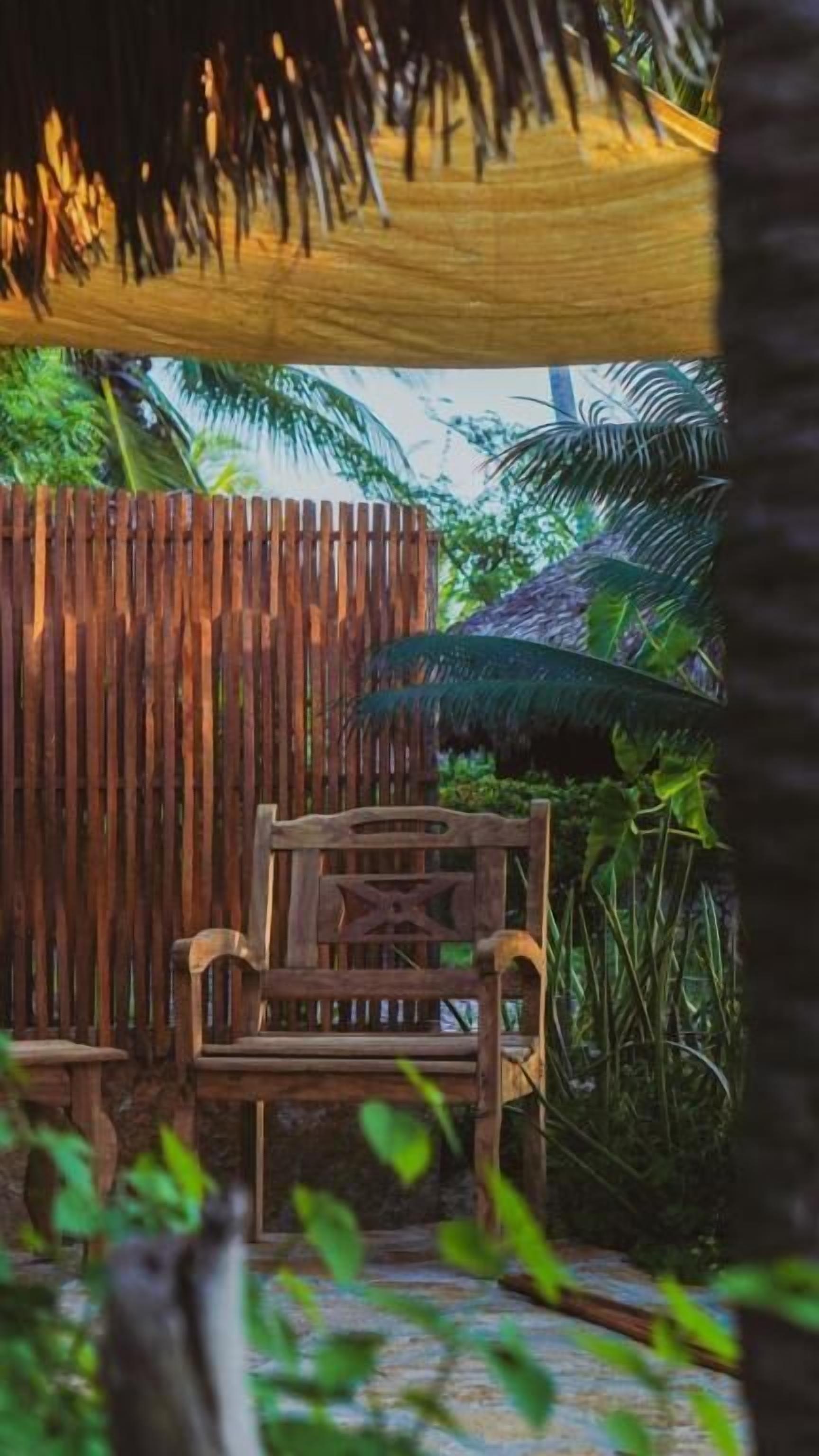 A wooden bench in a shaded outdoor area with a wooden fence and tropical plants.
