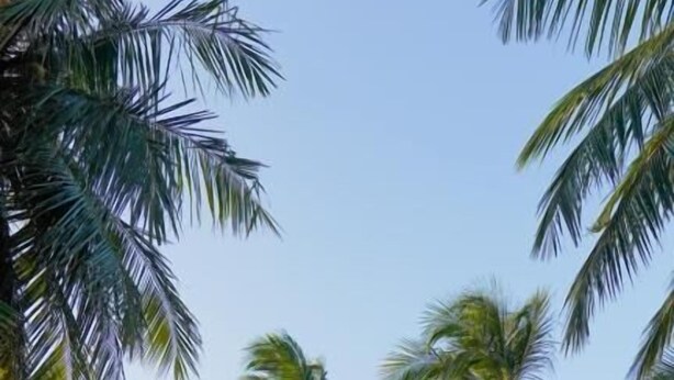 Un resort tropical con una cabaña de techo de paja, palmeras y un sendero arenoso.