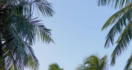 Guajiru kite Safari