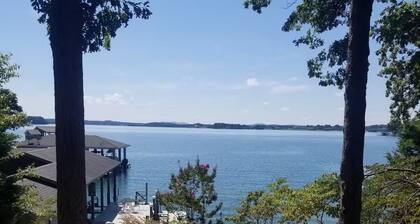 Cardinals Nest Smith Mountain Lake