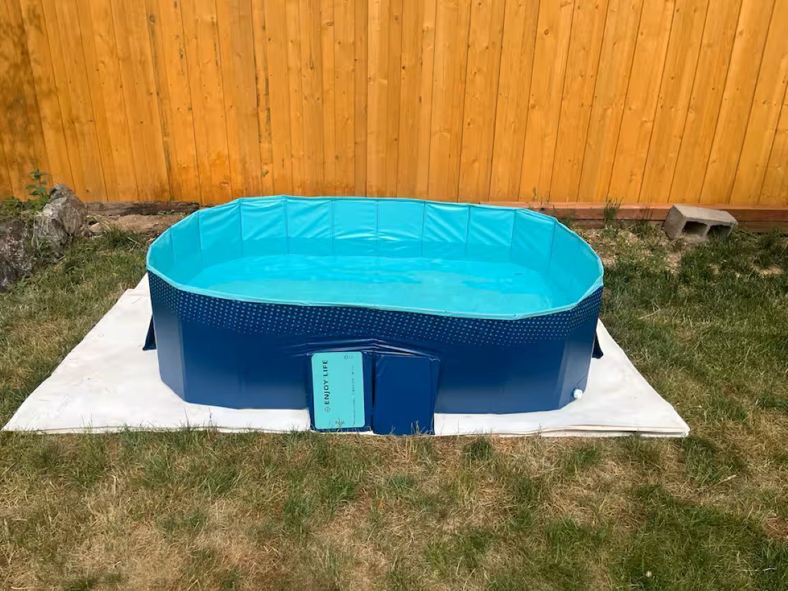 A blue inflatable pool on a white mat in a grassy yard with a wooden fence in the background.