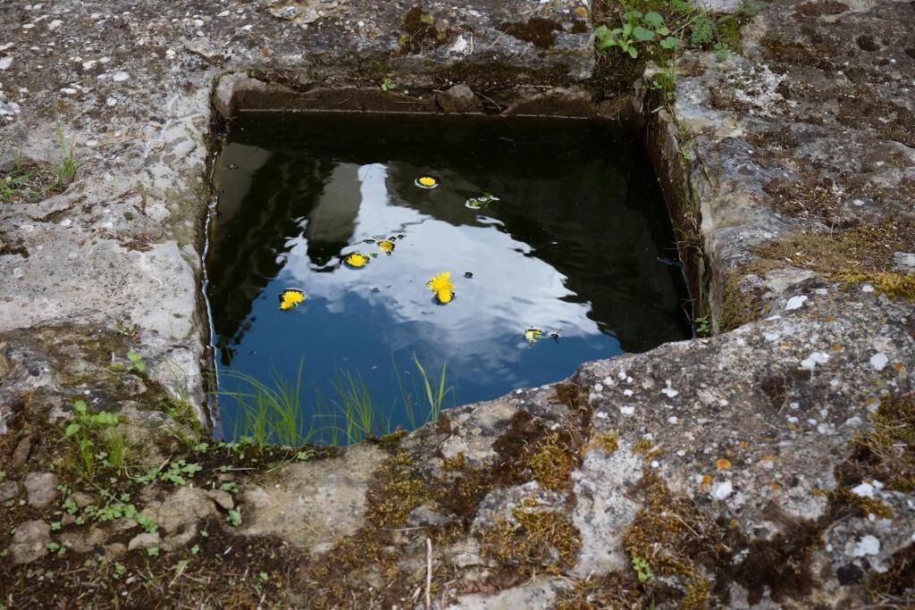 Una hendidura cuadrada llena de agua, rodeada de rocas y vegetación escasa.