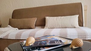 Un sofá marrón con dos almohadas, una manta a rayas y una mesa de vidrio con revistas y conchas marinas.