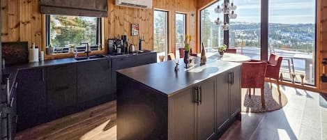 Fridge, oven, dishwasher, coffee/tea maker