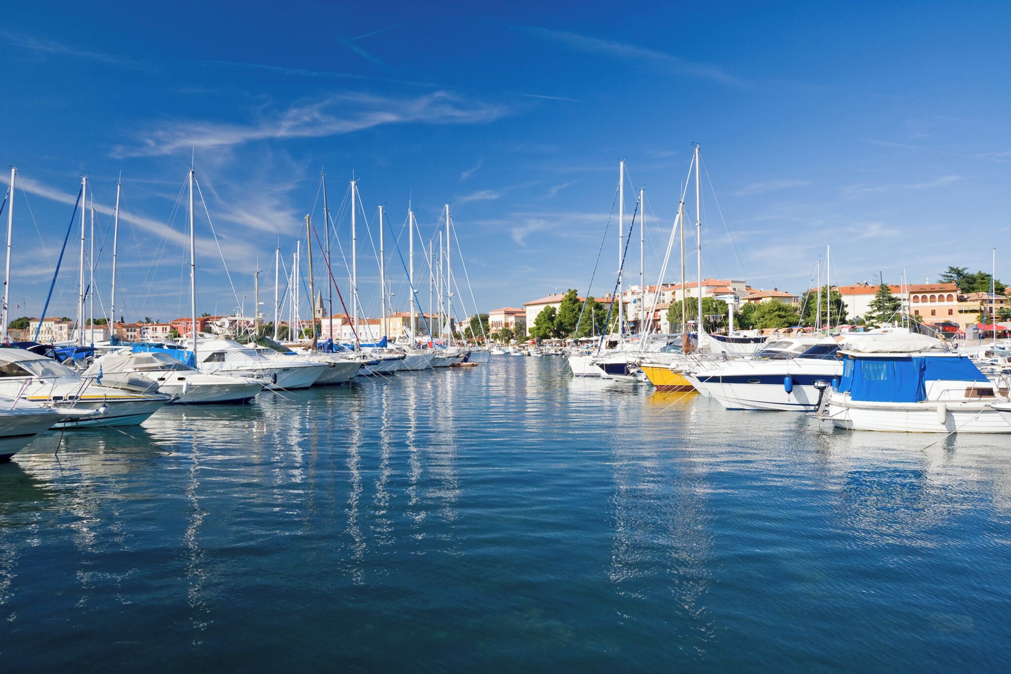 A marina with multiple sailboats docked.