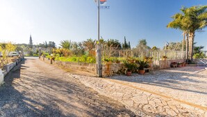 Ein gepflasterter Weg führt zu einem von einer Mauer und Kübelpflanzen umgebenen, verschlossenen Bereich.