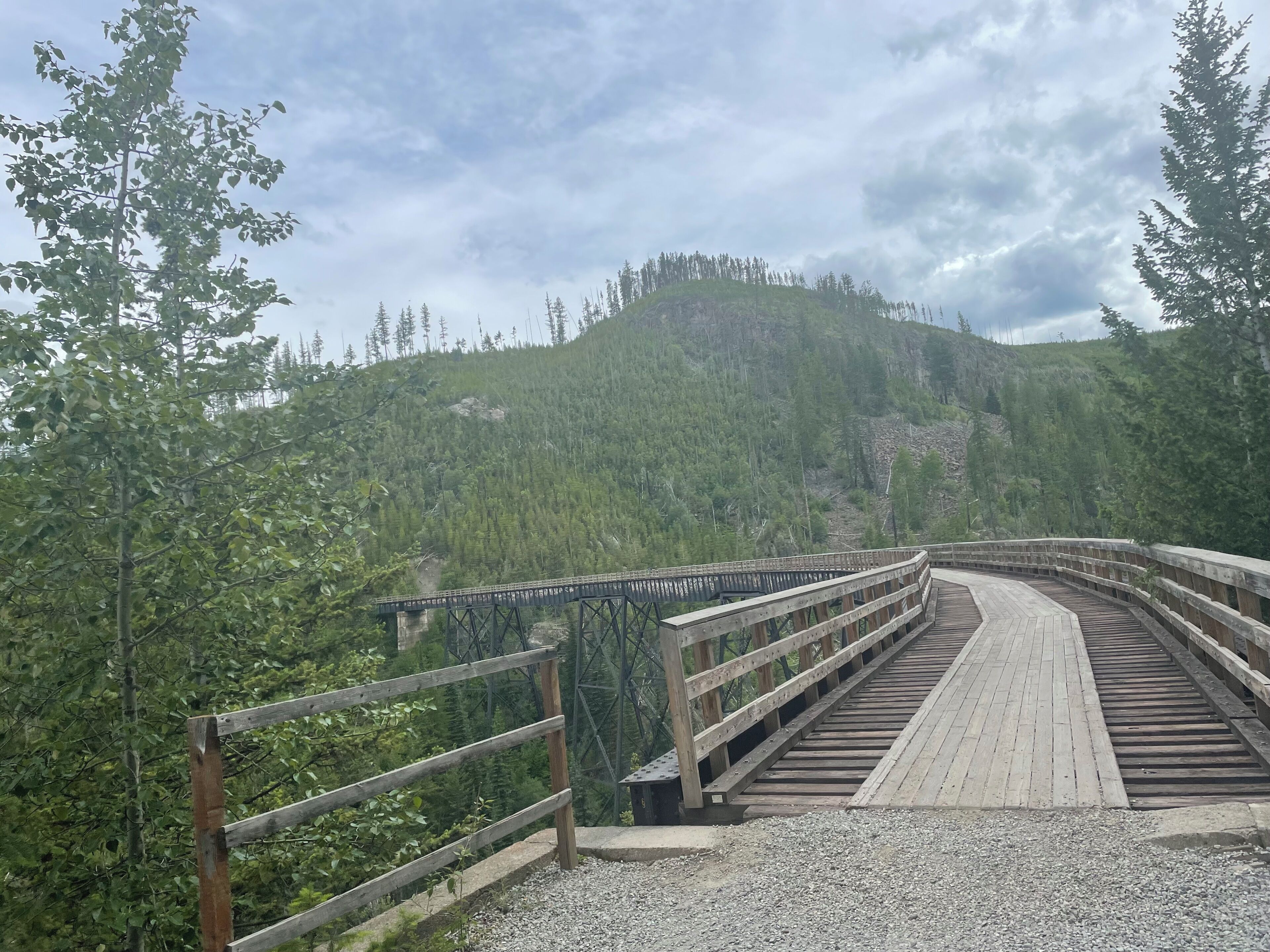 A wooden bridge with a metal railing, surrounded by dense forest and a hill in the background.
