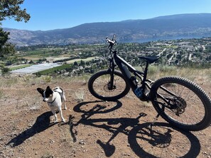 Un vélo tout-terrain sur un sentier de terre, avec un chien à proximité, offrant une vue sur une ville et des montagnes.