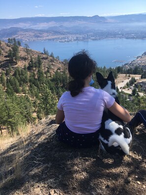 Une personne assise sur une colline, d’où elle a une vue sur un lac, et qui est accompagnée d’un chien.