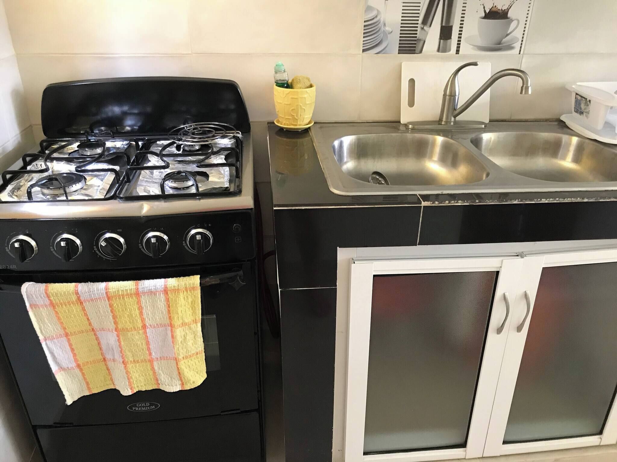 Una cocina con estufa, pileta y alacena.