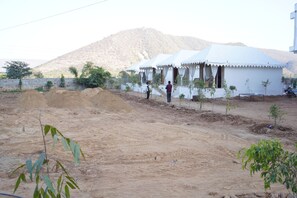 Property grounds - Narayani Bagh Resort And Restaurant (Ajabgarh)