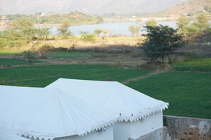 Área da propriedade