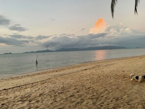 Una playa con un perro, mar tranquilo y montañas a lo lejos.