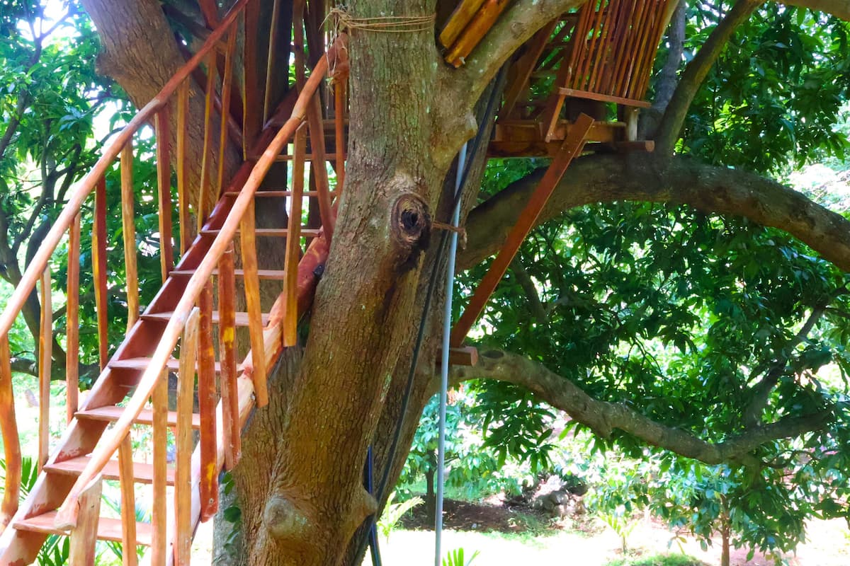 Casa de árbol | Ropa de cama de alta calidad, escritorio, wifi gratis y ropa de cama
