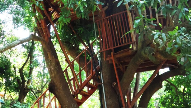 A treehouse with a wooden staircase and a small window. - Heaven In Woods (Mekkarai)
