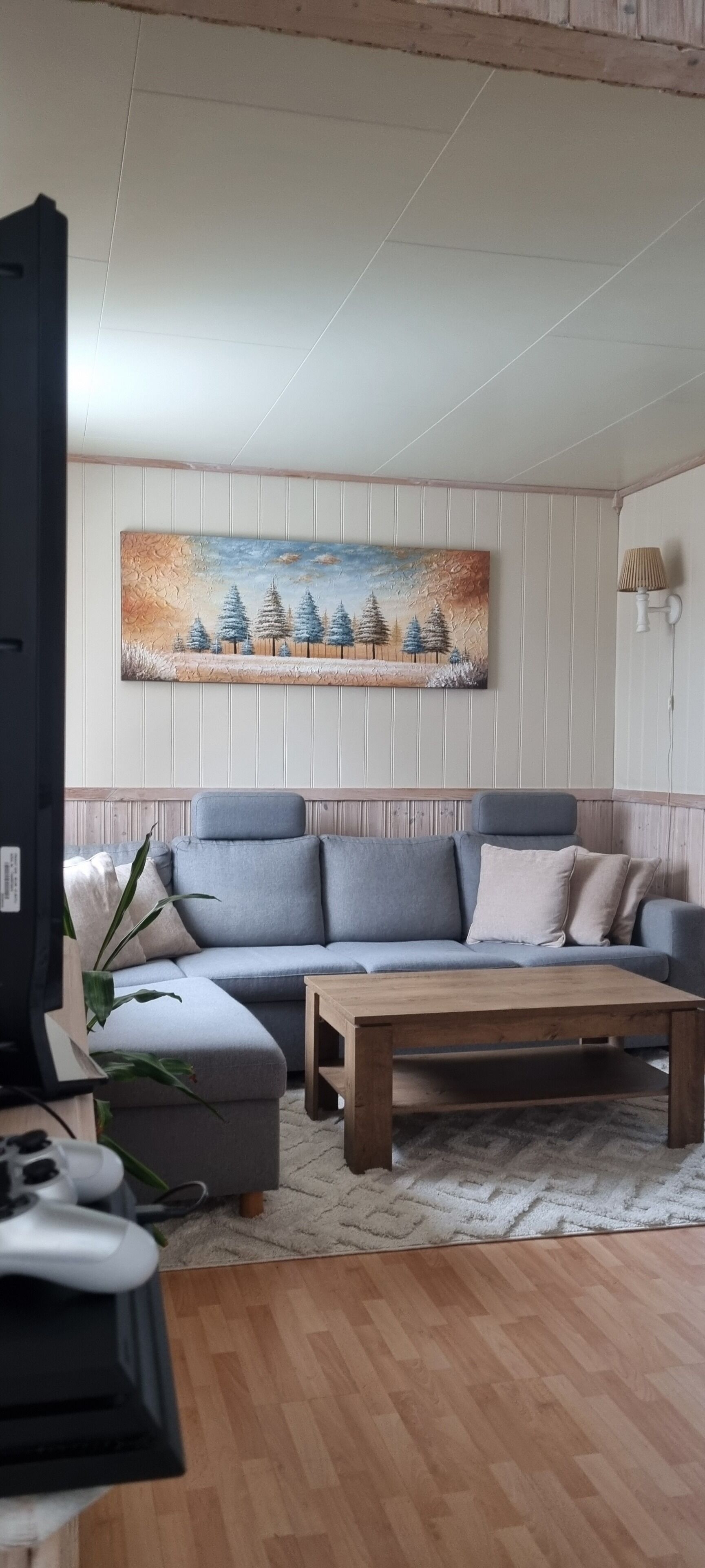 Smart TV