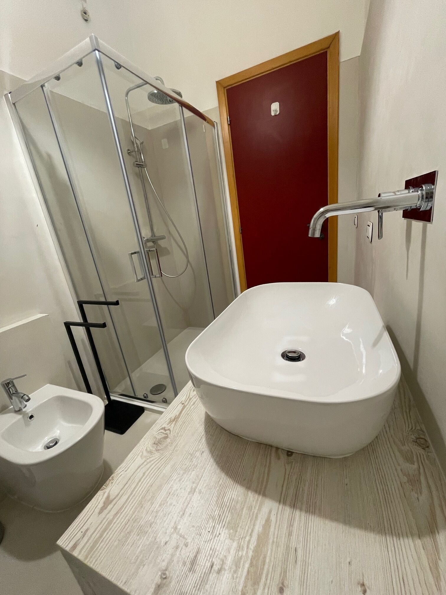 Shower, hair dryer, bidet, towels