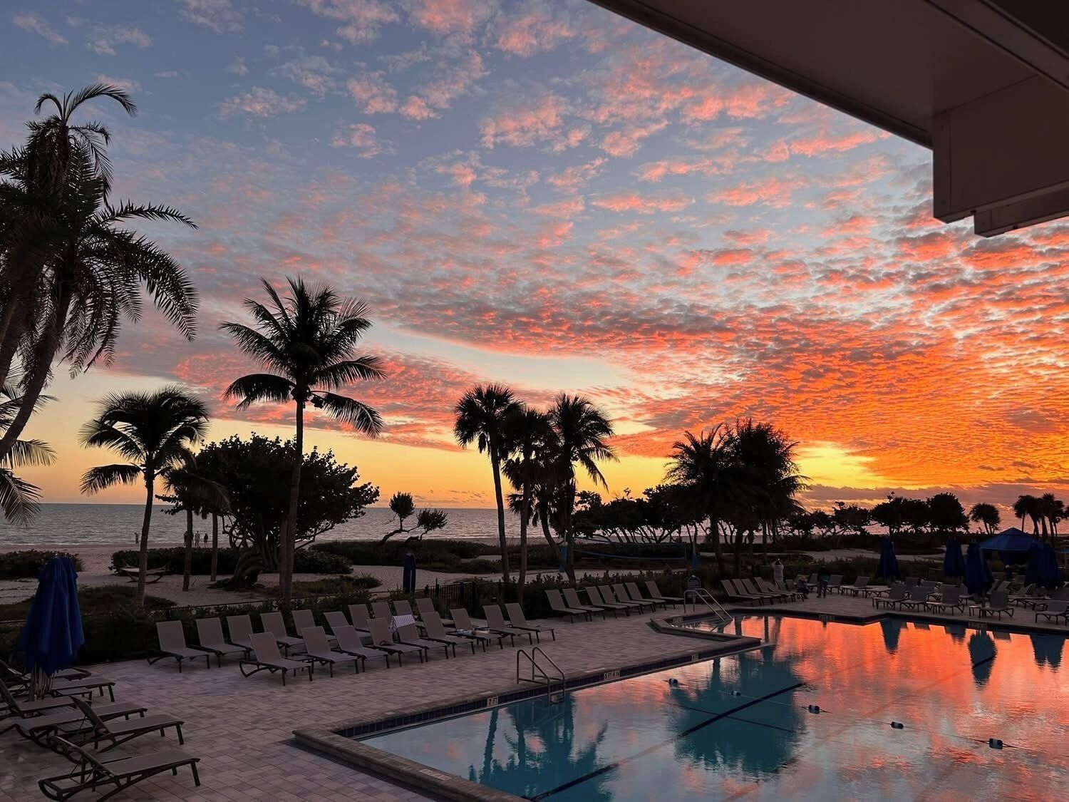 A poolside area with lounge chairs and palm trees, overlooking a body of water.