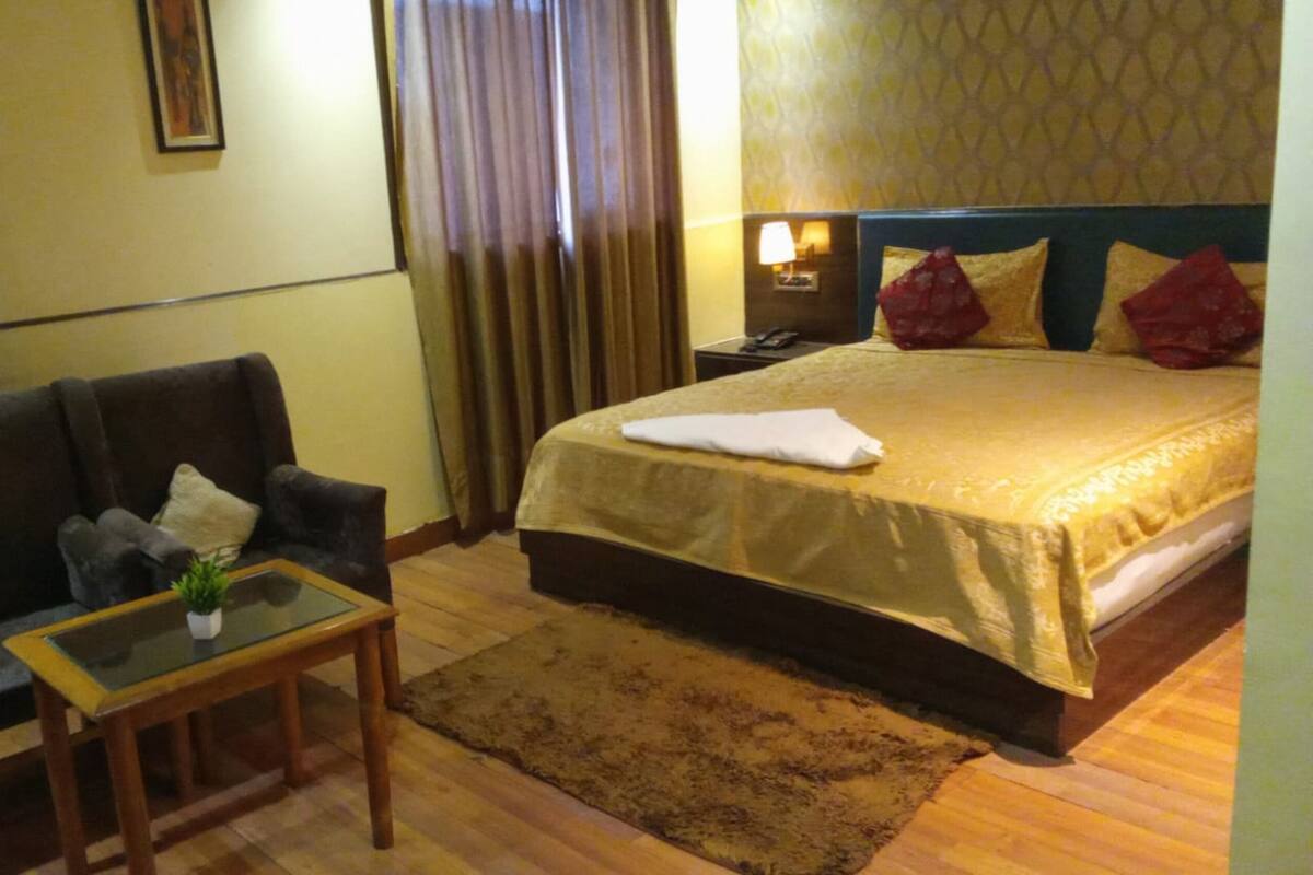 Habitación de hotel con cama, sofá, una mesita con planta y mesita de noche con lámpara.