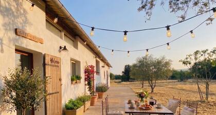 Nature estate in Provence with horses (max 22 pers), swimming pool, unique immersion