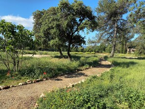 Áreas de la propiedad