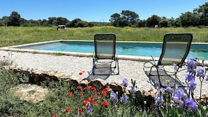 Une piscine rectangulaire, bordée de deux chaises longues qui lui font face, est entourée d’une zone de gravier agrémentée de fleurs, avec un champ d’herbe en arrière-plan.
