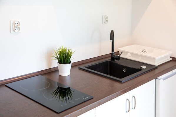 A modern kitchen with a black induction cooktop, a white sink, and a potted plant. - Brick Cottage Near Baltic Sea and Windmill (gmina Karnice)