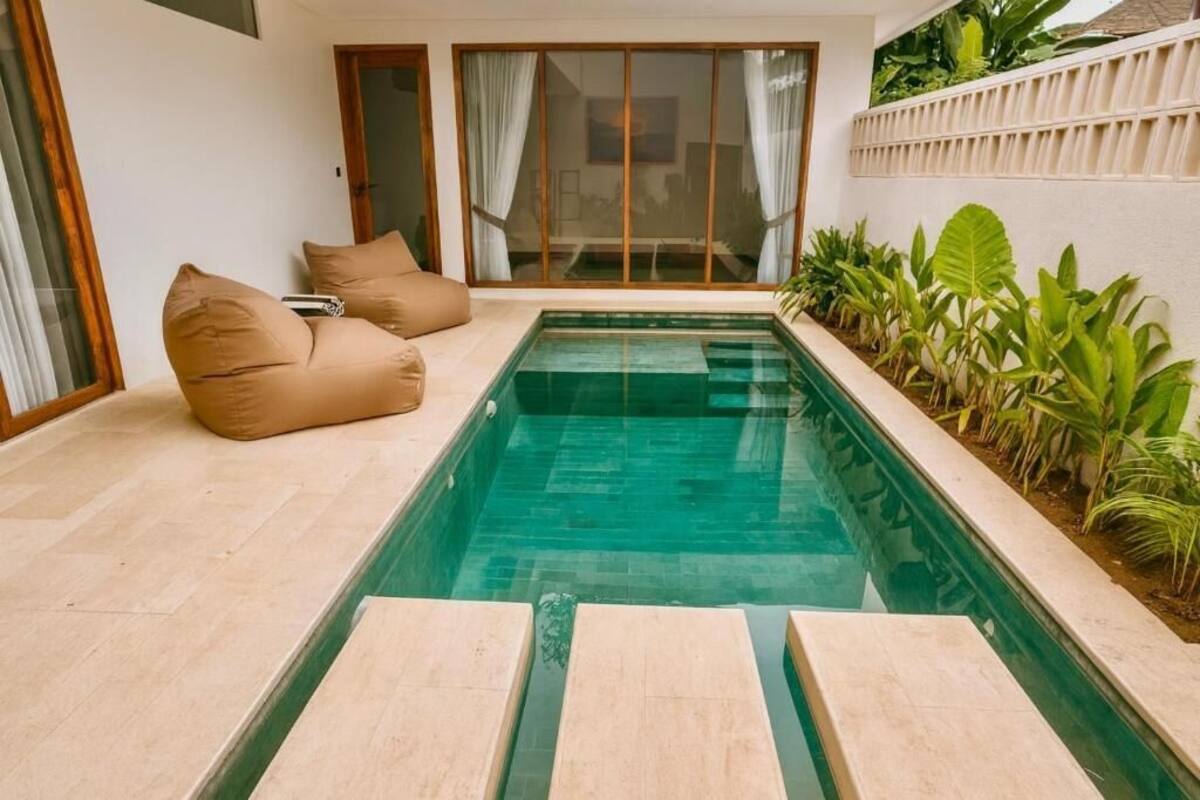A rectangular swimming pool with a tiled deck, beige cushions, and a planter with tropical plants.