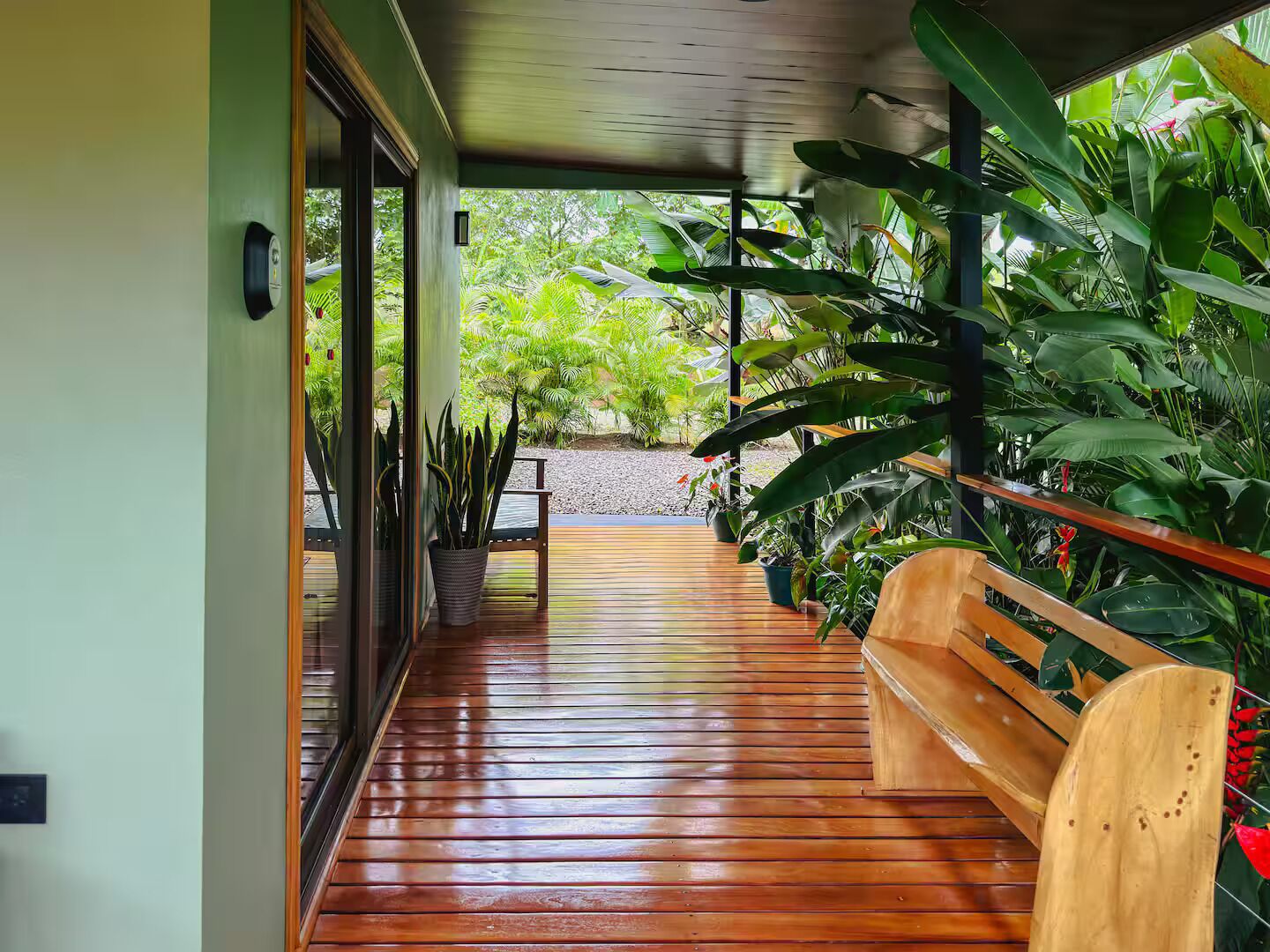 A wooden deck with a bench, surrounded by lush tropical plants.
