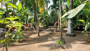 Parco della struttura