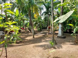 Property grounds - Shravani Holiday Home Resort by Glitz (Nagaon)