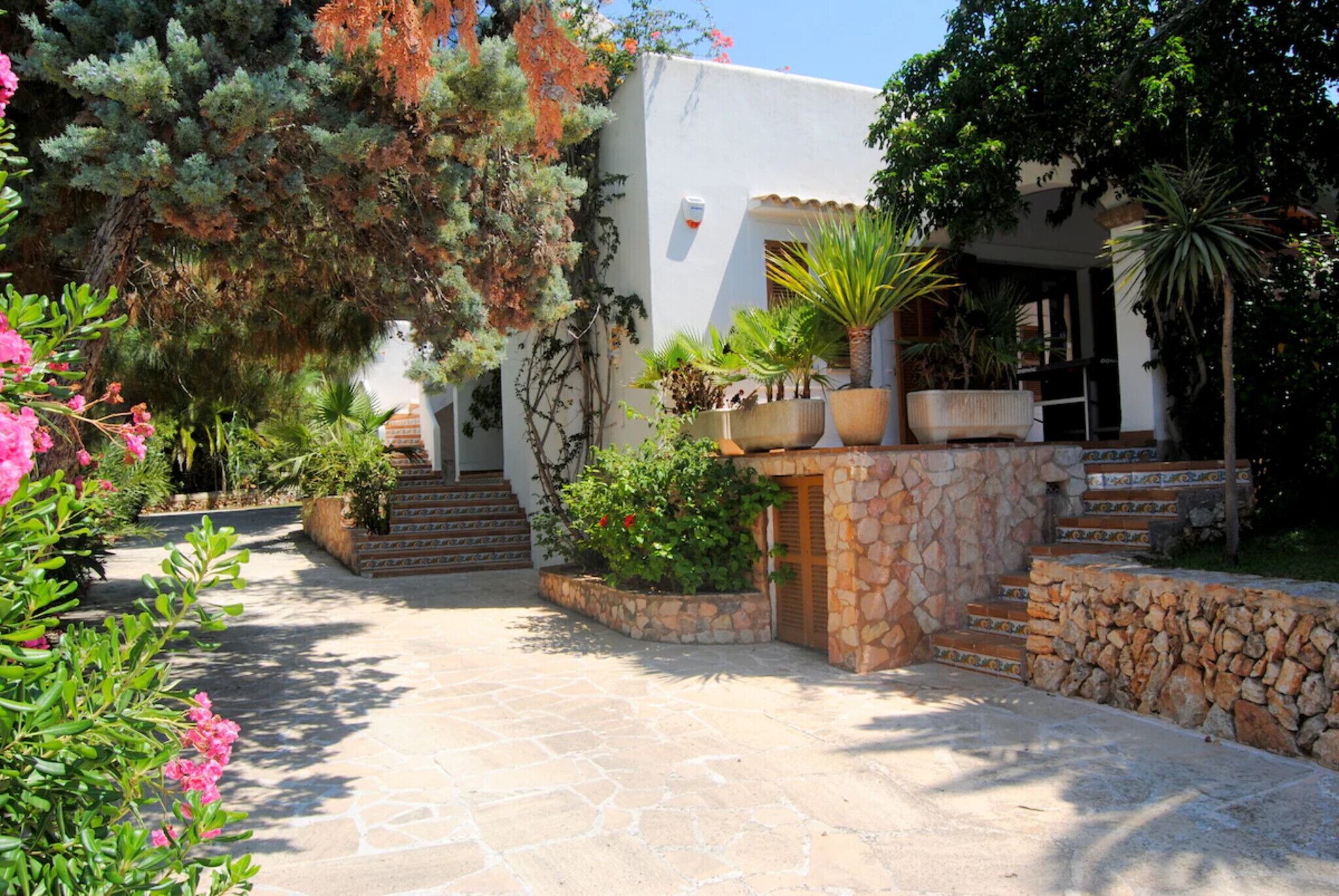 A courtyard with stone steps, potted plants, and a white building with a stone facade.