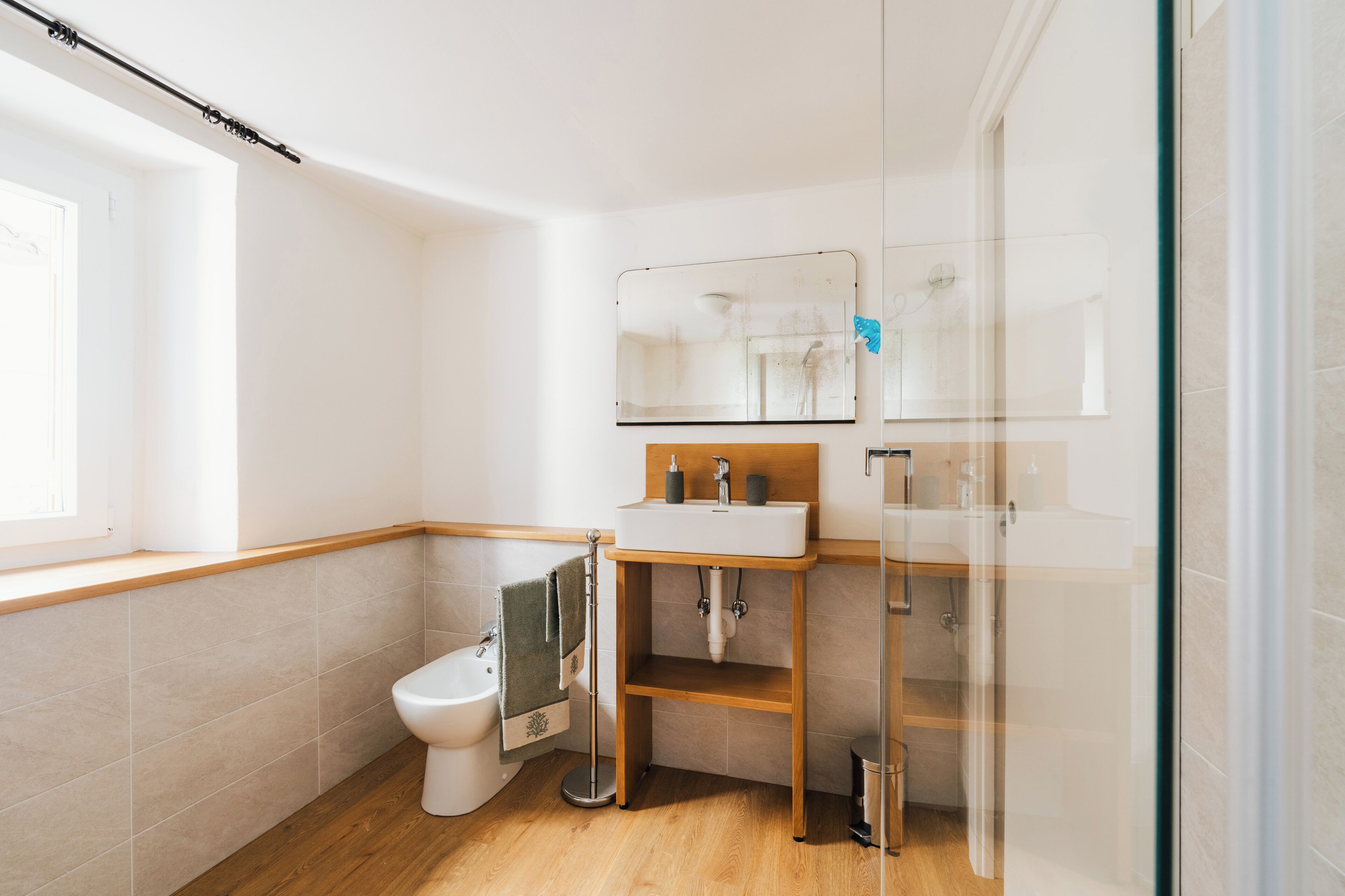 Shower, hair dryer, bidet, towels