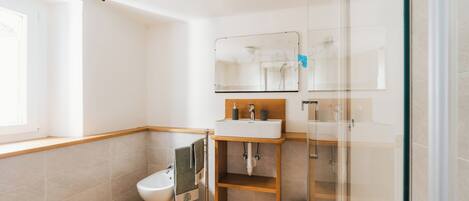 Shower, hair dryer, bidet, towels