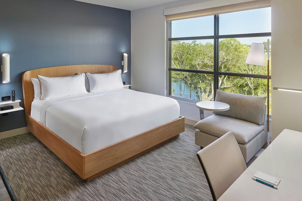 Standard Room, 1 King Bed (View)